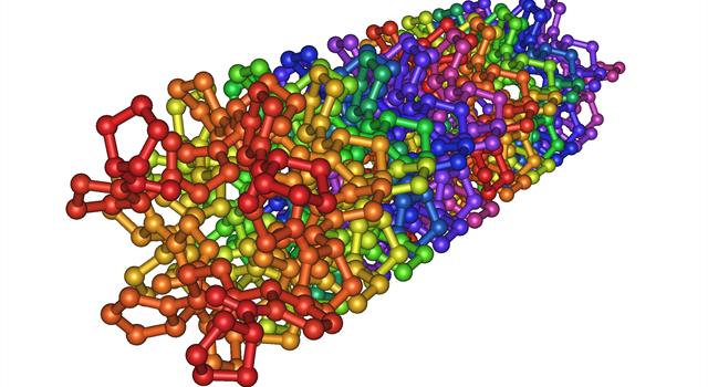Science Trivia Question: What is the structural protein of bones, tendons and skin? Science Trivia Question: What is the structural protein of bones, tendons and skin?