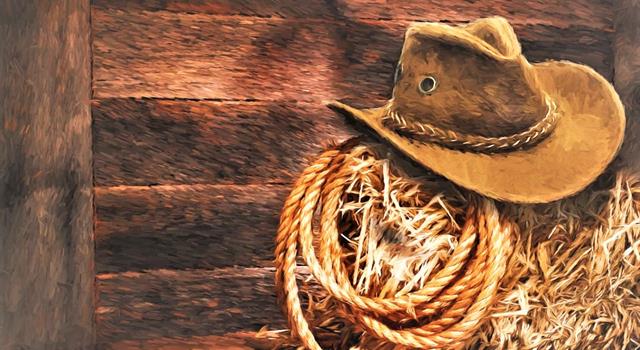 Movies & TV Trivia Question: The theme song from the U.S. TV western "Rawhide" became a hit song selling a million copies for which singer? Movies & TV Trivia Question: The theme song from the U.S. TV western "Rawhide" became a hit song selling a million copies for which singer?