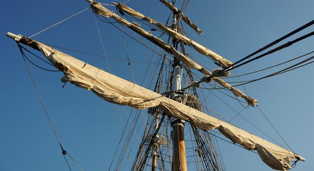 Science Trivia Question: What is the botanical definition of the word “mast”? Science Trivia Question: What is the botanical definition of the word “mast”?