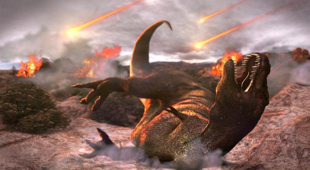 Science Trivia Question: What is the time period of the “Holocene extinction”? Science Trivia Question: What is the time period of the “Holocene extinction”?