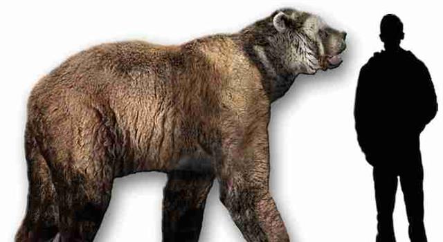 Nature Trivia Question: Which of these U.S. states’ official mammal is extinct? Nature Trivia Question: Which of these U.S. states’ official mammal is extinct?