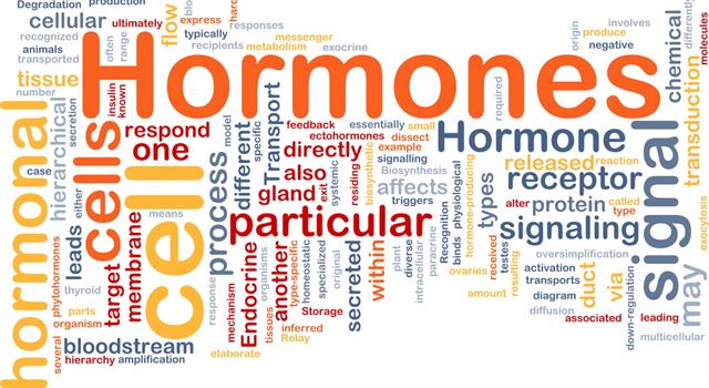 Science Trivia Question: In human anatomy, which organ releases the hormone gastrin? Science Trivia Question: In human anatomy, which organ releases the hormone gastrin?