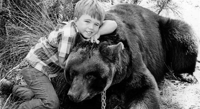 Movies & TV Trivia Question: In the American TV series "Gentle Ben" what was the name of the bear that played “Gentle Ben”? Movies & TV Trivia Question: In the American TV series "Gentle Ben" what was the name of the bear that played “Gentle Ben”?