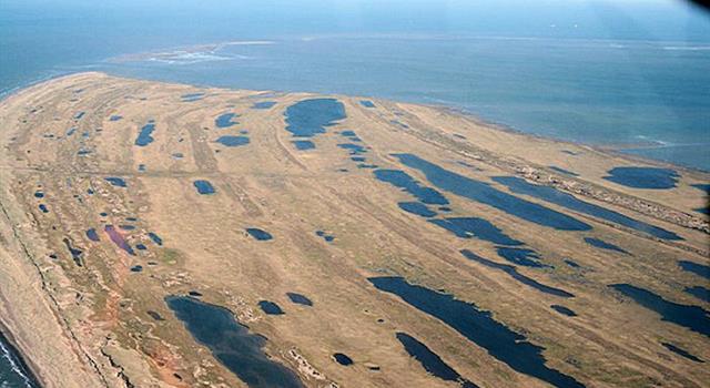 Geography Trivia Question: In which US state is the Seward Peninsula? Geography Trivia Question: In which US state is the Seward Peninsula?