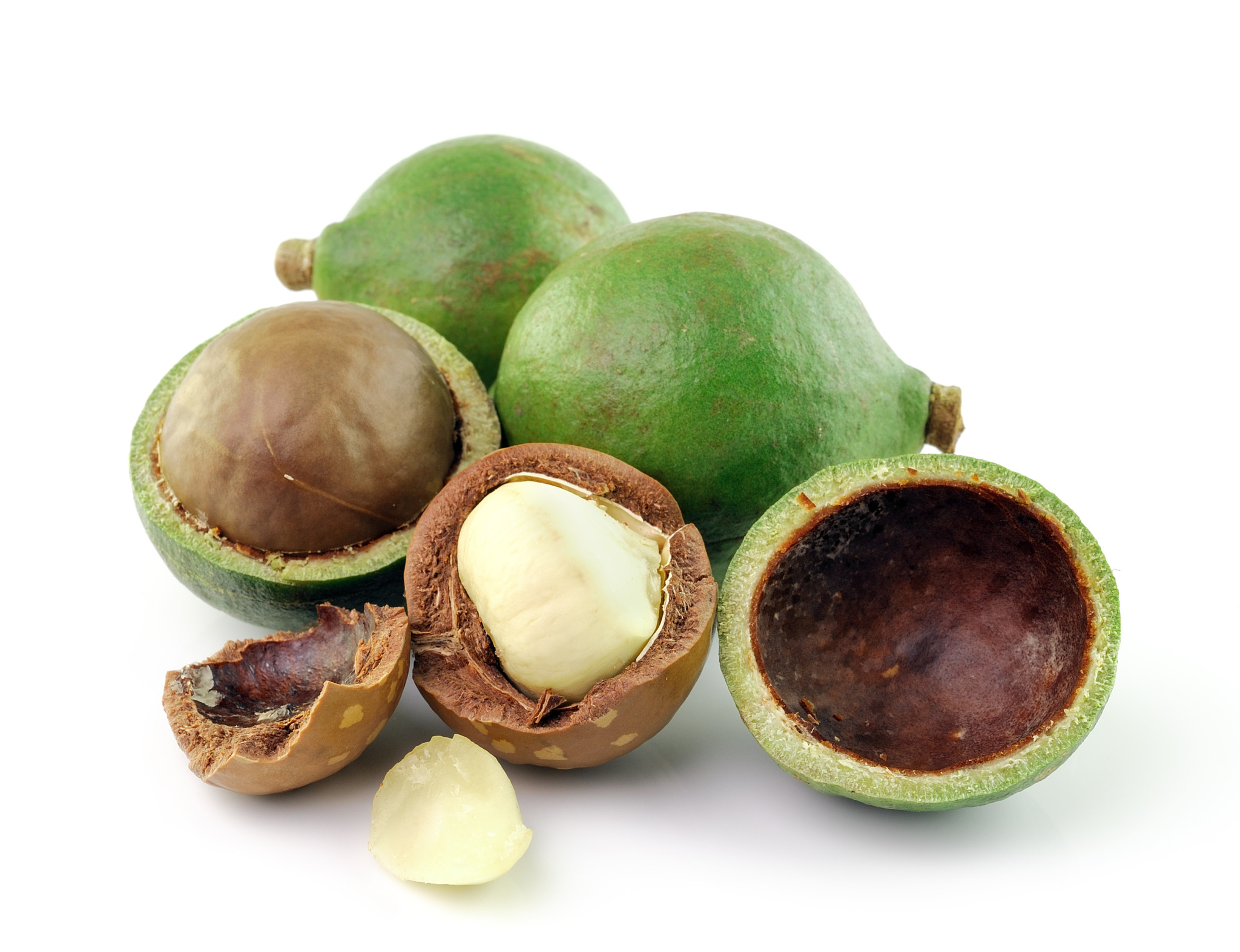 Nueces De Macadamia: Un Tesoro Nutricional Español