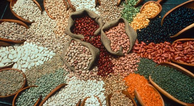 Nature Trivia Question: What is the alternative name for the garbanzo bean? Nature Trivia Question: What is the alternative name for the garbanzo bean?