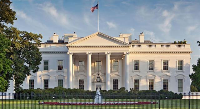 History Trivia Question: What kind of animal did Bill Clinton have during his first term in office? History Trivia Question: What kind of animal did Bill Clinton have during his first term in office?