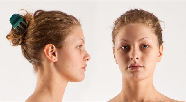 Science Trivia Question: What part of the human body will you find the tragus? Science Trivia Question: What part of the human body will you find the tragus?