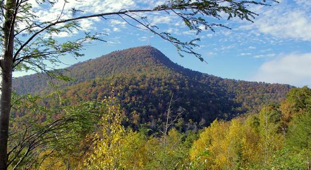 Geography Trivia Question: Where in the USA is Pisgah National Forest located? Geography Trivia Question: Where in the USA is Pisgah National Forest located?