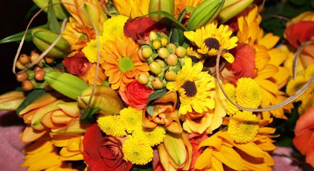 Culture Trivia Question: Which flower is responsible for bursting an economy? Culture Trivia Question: Which flower is responsible for bursting an economy?