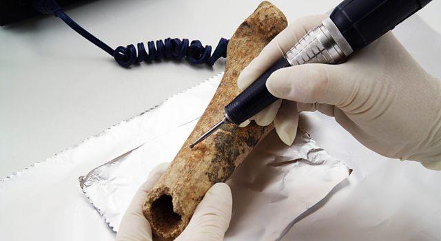 Science Trivia Question: Which radioactive element is significant to archaeologists to determine the age of biological artifacts up to 50000 years old? Science Trivia Question: Which radioactive element is significant to archaeologists to determine the age of biological artifacts up to 50000 years old?