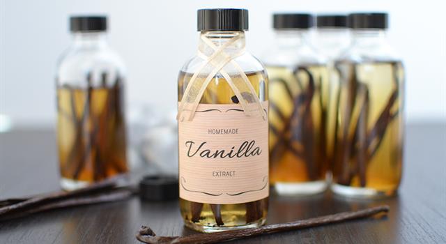 Nature Trivia Question: Vanilla flavouring is obtained from which plant? Nature Trivia Question: Vanilla flavouring is obtained from which plant?