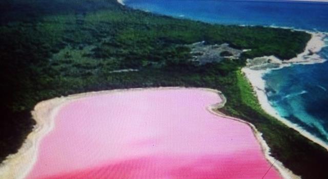 Geography Trivia Question: What makes the Pink Lake in Australia pink? Geography Trivia Question: What makes the Pink Lake in Australia pink?