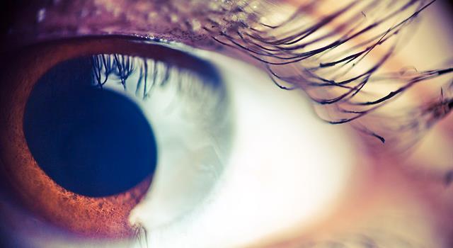 Science Trivia Question: What is the typical lifespan of a human eyelash? Science Trivia Question: What is the typical lifespan of a human eyelash?