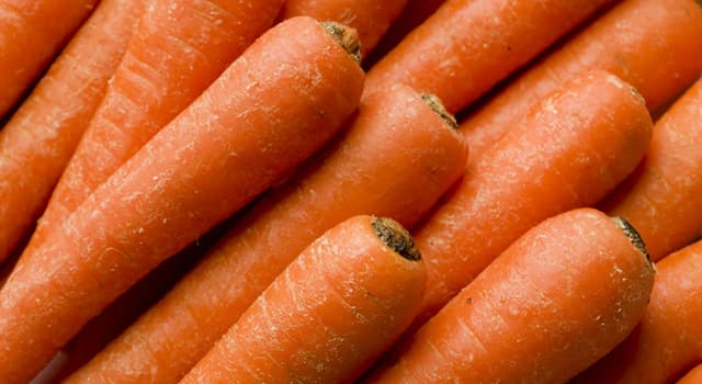 Nature Trivia Question: According to the Guinness Book of Records and as of 2018, how long is the world's longest carrot? Nature Trivia Question: According to the Guinness Book of Records and as of 2018, how long is the world's longest carrot?