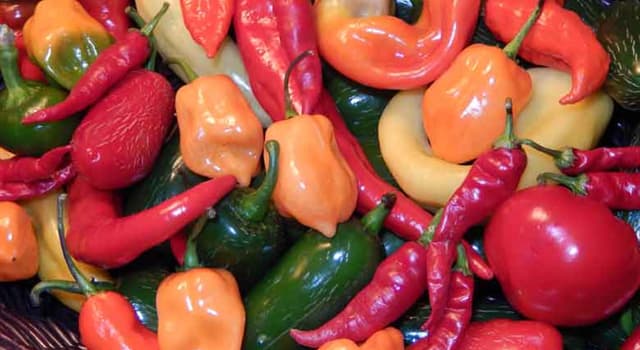 Nature Trivia Question: As of 2018, what is the hottest pepper? Nature Trivia Question: As of 2018, what is the hottest pepper?