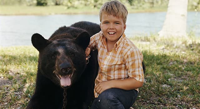 Movies & TV Trivia Question: On the wildlife U.S. TV adventure series "Gentle Ben", where does Ben (the bear) and his human family live? Movies & TV Trivia Question: On the wildlife U.S. TV adventure series "Gentle Ben", where does Ben (the bear) and his human family live?