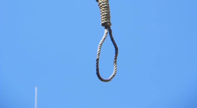 History Trivia Question: Who or what was executed in 1386 for the killing of Jonnet Le Macon? History Trivia Question: Who or what was executed in 1386 for the killing of Jonnet Le Macon?