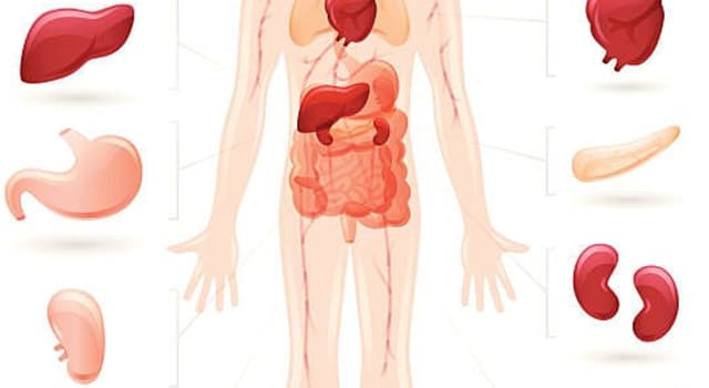 Science Trivia Question: Cholecystitis affects what part of the human body? Science Trivia Question: Cholecystitis affects what part of the human body?