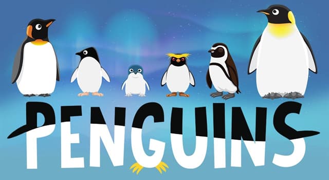 Nature Trivia Question: How many extant species of penguin are there? Nature Trivia Question: How many extant species of penguin are there?