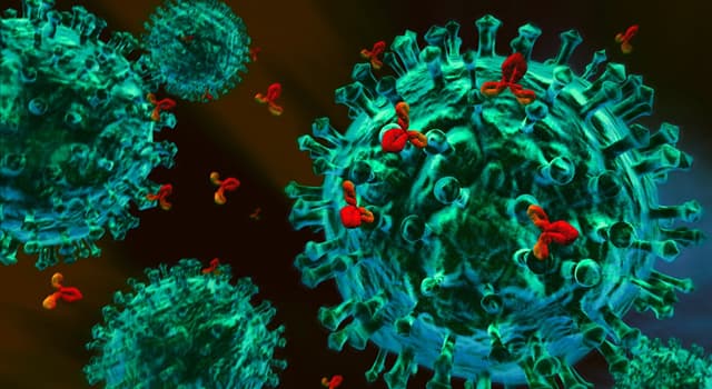 Science Trivia Question: In the human body, what word describes any foreign substance which induces an immune response? Science Trivia Question: In the human body, what word describes any foreign substance which induces an immune response?