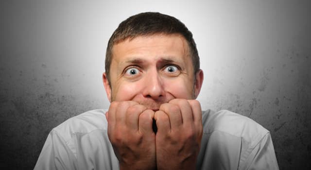 Culture Trivia Question: Ophidiophobia is a fear of what? Culture Trivia Question: Ophidiophobia is a fear of what?