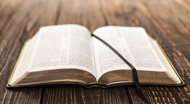 Culture Trivia Question: Who is the author of the longest word ever to appear in literature, according to The Guinness Book of Records? Culture Trivia Question: Who is the author of the longest word ever to appear in literature, according to The Guinness Book of Records?