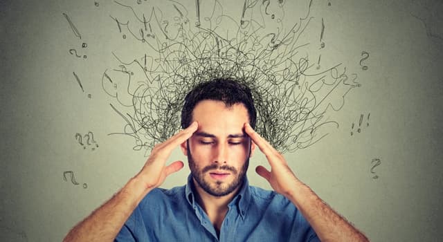 Geography Trivia Question: What's the name of the syndrome when hostages have positive feelings towards their captors? Geography Trivia Question: What's the name of the syndrome when hostages have positive feelings towards their captors?
