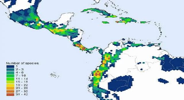 Geografía Trivia: ¿Cómo se le conoce a la ecozona de la Tierra que abarca Sudamérica, América Central, Caribe, Florida del Sur y la zona sur de México? Geografía Trivia: ¿Cómo se le conoce a la ecozona de la Tierra que abarca Sudamérica, América Central, Caribe, Florida del Sur y la zona sur de México?