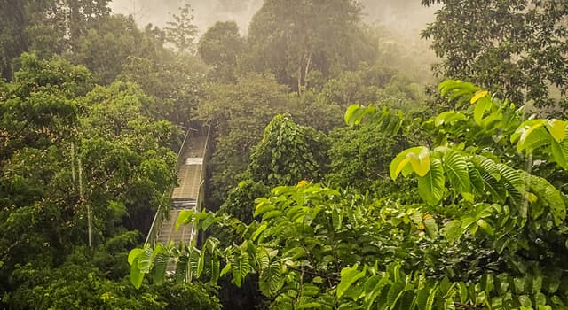 La Isla Mas Grande De Asia