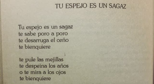 Que Es La Poesia De Autor