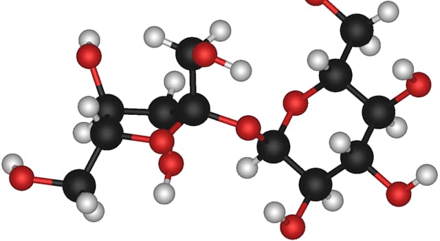 what-type-of-particle-is-formed-when-trivia-questions-quizzclub