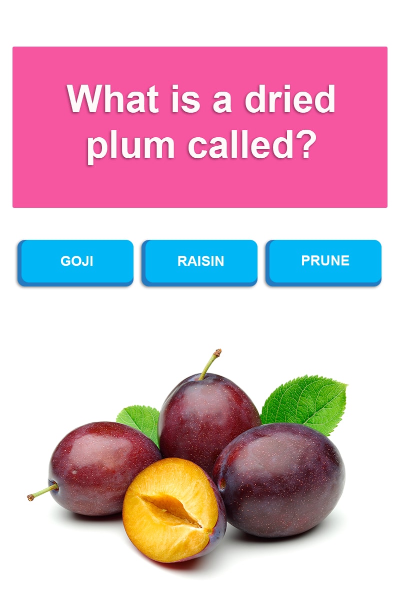 what-is-a-dried-plum-called-trivia-questions-quizzclub