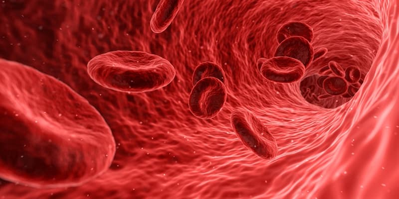 La descubrio sangre de circulacion