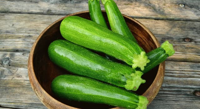 What Is Another Name For Zucchini Trivia Questions QuizzClub