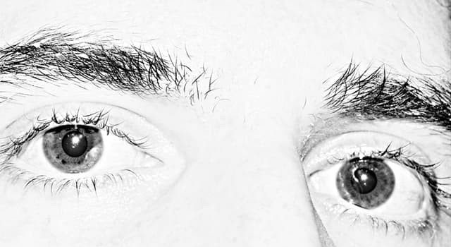 Download Auge um auge und die ganze welt wird blind sein Desktop Wallpaper Auge Um Auge Und Die Ganze Welt Wird Blind Sein