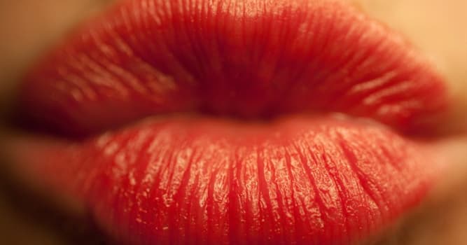 Rote Lippen Soll Man Küssen Peter Kraus