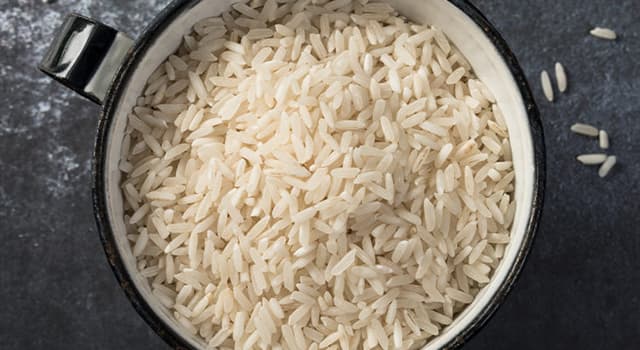 What Is Scientific Name For Rice